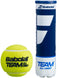 A yellow tennis ball from the Babolat Pure Team All Court series sits next to a blue and white tube labeled "Babolat Pure Team All Court (4 Ball Tube)." The Babolat logo is prominently featured on both the tennis ball and the tube, which is designed to hold multiple high-performance balls.